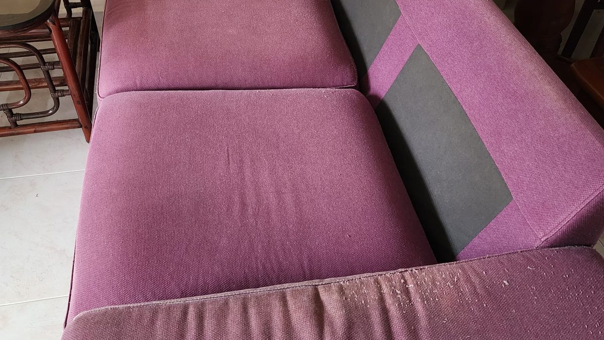 Fabric sofa prepared for furniture disposal